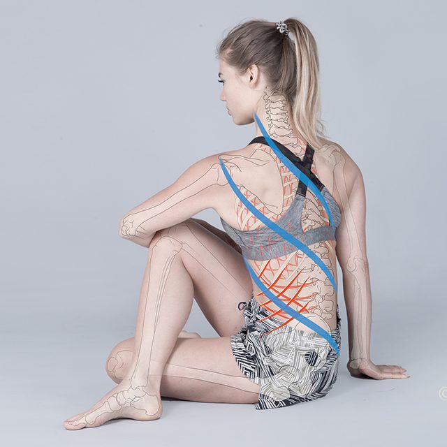 Spiraldynamik Bewegungsschulung Physiotherapie